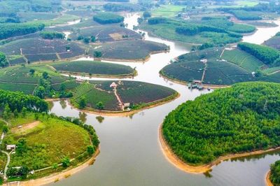 'Khai tử' dự án du lịch hơn 1.500 tỷ của Cienco4 tại Đảo Chè