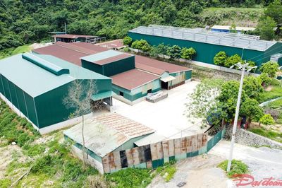 Cao Bằng: Dự án trang trại chăn nuôi bò bộc lộ tồn tại về đất đai, môi trường