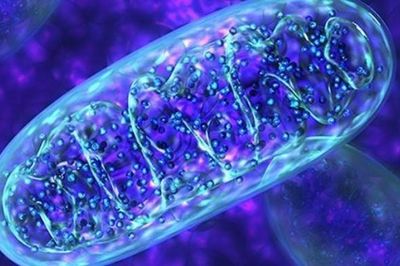Từ ADN, khoa học truy tìm được 'người mẹ chung' của nhân loại
