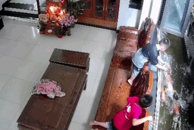 Con trai vừa nghỉ hè đã làm chết nguyên đàn cá Koi 17 con của bố