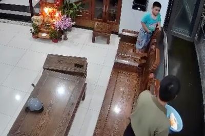 Mới nghỉ hè, cậu bé khiến bố mất đàn cá Koi tiền triệu