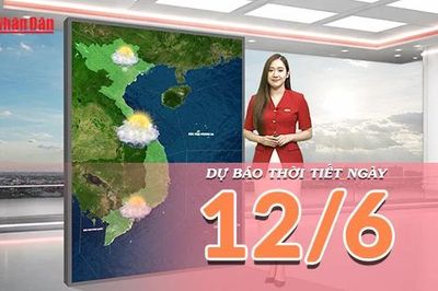[Video] Dự báo thời tiết ngày 12/6/2026: Bắc Bộ tăng nhiệt trở lại, Nam Bộ mưa dông về chiều tối