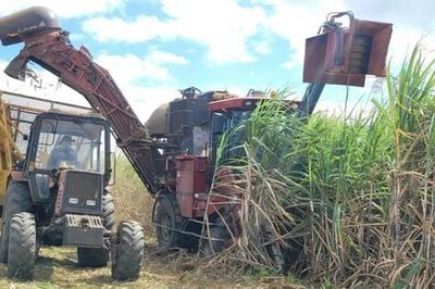 Đường lậu, không rõ nguồn gốc vẫn tràn lan