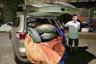 Khởi tố vụ án nhập lậu 1,45 tấn củ ba kích từ Trung Quốc về Việt Nam