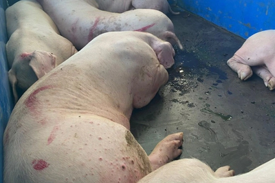 Đừng vì chút lợi mà đánh đổi sự an toàn của cộng đồng
