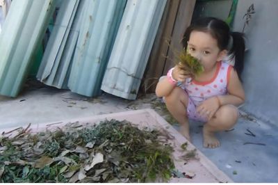 Tản mạn Tết lá mồng Năm