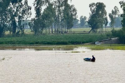 Đồng Tháp: Nông dân xã Thường Phước muốn rút ngắn chu kỳ xả lũ để cải tạo đồng ruộng