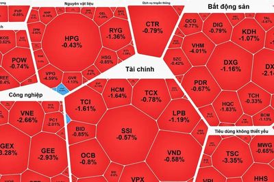Cổ phiếu ngân hàng khởi sắc, VN-Index vẫn giảm điểm