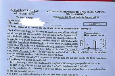 Gợi ý đáp án môn Sinh học Kỳ thi tốt nghiệp THPT 2026