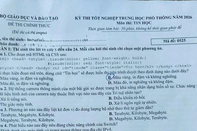 Gợi ý đáp án môn Tin học Kỳ thi tốt nghiệp THPT 2026