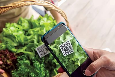 Từ 1/7, hàng hóa rủi ro cao bắt buộc truy xuất nguồn gốc