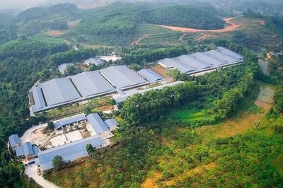 Doanh nghiệp chăn nuôi ở Phú Thọ bị xử phạt gần nửa tỷ đồng