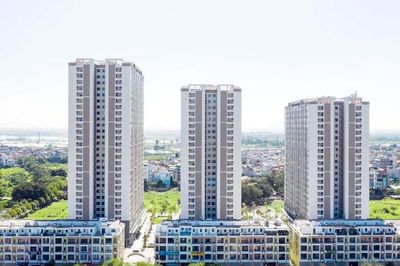 Hà Nội chỉ đạo kiểm tra, xử lý vụ phát hiện gần 90 căn nhà ở xã hội có dấu hiệu trục lợi