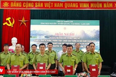 Bốn tỉnh Việt Bắc tăng cường phối hợp bảo vệ rừng vùng giáp ranh