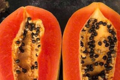 Loại hạt thường bị bỏ đi lại là vị thuốc quý chữa đau dạ dày