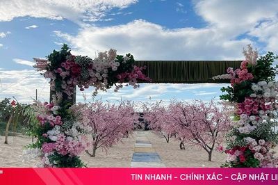 Decor rực rỡ, phai nhạt bản sắc