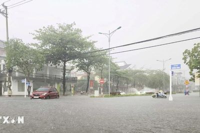 Thời tiết ngày 12/6: Cao nguyên Trung Bộ và Nam Bộ tiếp diễn mưa lớn cục bộ
