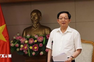 Kiện toàn Ban Chỉ đạo quốc gia phát triển ngành công nghiệp bán dẫn