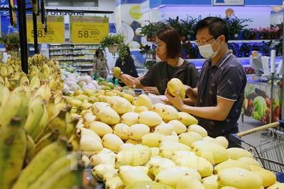 UOB: Kinh tế Việt Nam thể hiện sức chống chịu trước áp lực chi phí và bất ổn bên ngoài