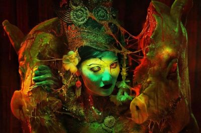 Heo Năm Móng rời rạp