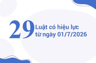 [Infographics] 29 Luật có hiệu lực từ ngày 01/7/2026
