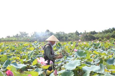 Xanh hóa đất bỏ hoang