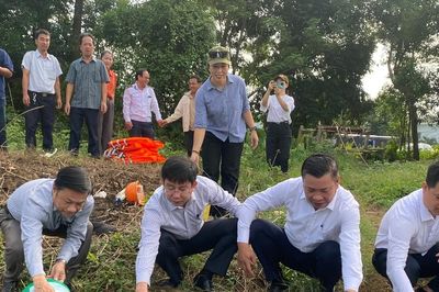 Đà Nẵng: Thả 7.500 con cá giống tái tạo nguồn lợi thủy sản trên sông Cu Đê