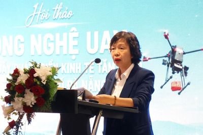 Thúc đẩy kinh tế tầm thấp tại Đà Nẵng