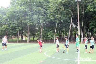 Sẵn sàng chinh phục Giải bóng đá Nhi đồng, Cúp Báo và Phát thanh, Truyền hình Đồng Nai - C.P. Việt Nam lần thứ 21