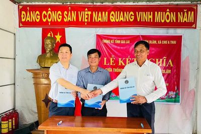 Thống kê tỉnh Gia Lai kết nghĩa với thôn Dlâm