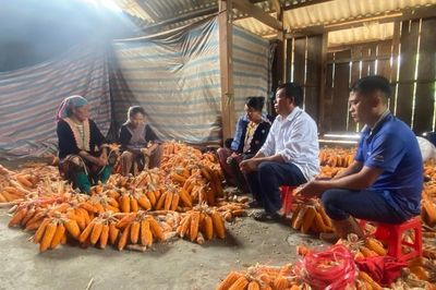 Lai Châu phát huy vai trò 'Tuổi cao - Gương sáng'