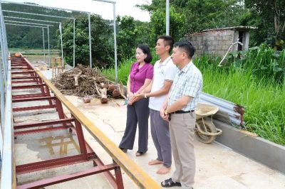 Khảo sát mô hình kinh tế tập thể tại xã Bình Lư