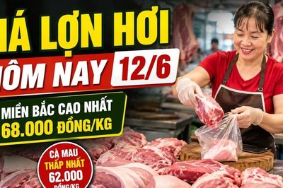 Giá lợn hơi hôm nay 12/6: Miền Bắc giữ đỉnh 68.000 đồng/kg