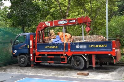 Tạm giữ phương tiện vận chuyển lâm sản để xác minh nguồn gốc
