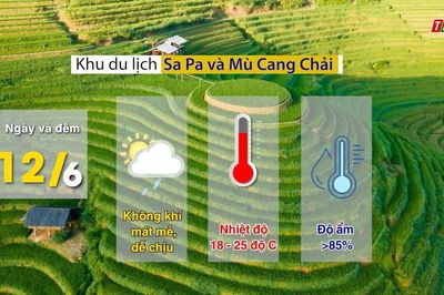 Dự báo thời tiết ngày 12/6