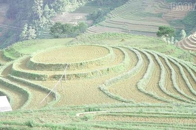 Danh thắng quốc gia Ruộng bậc thang khát nước giữa mùa nước đổ
