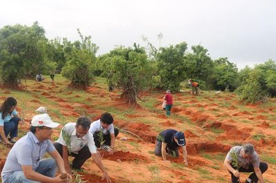 Cho môi trường xanh, sạch bền vững