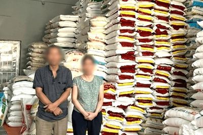 Ninh Bình: Khởi tố giám đốc công ty sản xuất và buôn bán gạo giả nhãn hiệu nổi tiếng