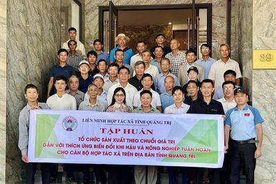 Thu hút cán bộ trẻ cho hợp tác xã-Yêu cầu từ thực tiễn