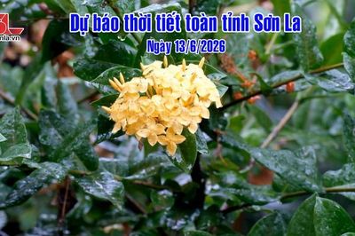 Dự báo thời tiết toàn tỉnh Sơn La ngày 13/6/2026