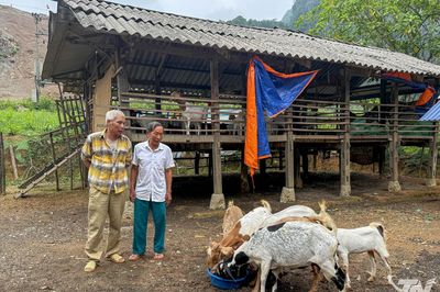 Khi dự án khép lại, đàn dê vẫn sinh sôi