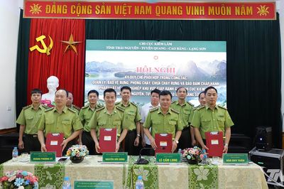 Ký Quy chế phối hợp quản lý, bảo vệ rừng vùng giáp ranh 4 tỉnh