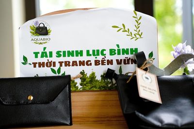 Tấm da sinh học từ bèo lục bình