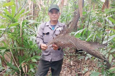Bảo tồn khu vực đa dạng sinh học trọng điểm