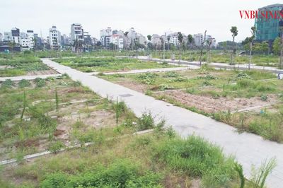 Đất nền 'cắt lỗ' nửa tỷ đồng vẫn khó thoát hàng