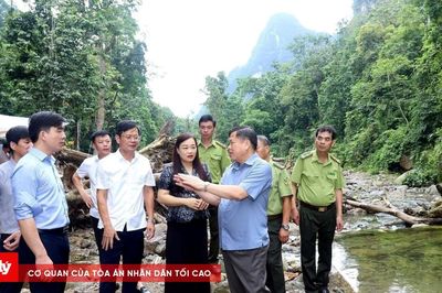 Phú Thọ: Xuân Sơn tìm lời giải cho bài toán bảo tồn và phát triển