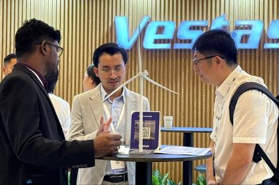 Việt Nam đứng trước cơ hội phát triển ngành điện gió