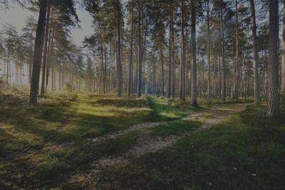 Latvia: Thất thoát ngân sách do quản trị lỏng lẻo