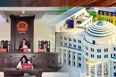 Tòa án nhân dân tối cao công bố 8 án lệ mới