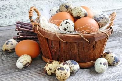 Trứng cút hay trứng gà bổ dưỡng hơn? Câu trả lời khiến nhiều người bất ngờ
